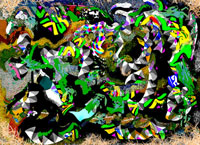 Jungle party